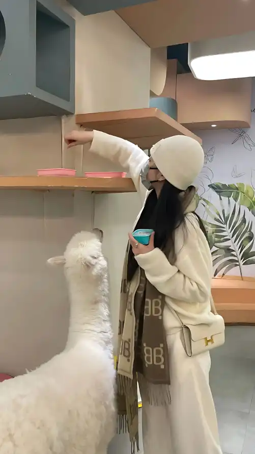 2021在线精品自偷自拍无码_雨燕在线直播体育直播_久久久久无码精品